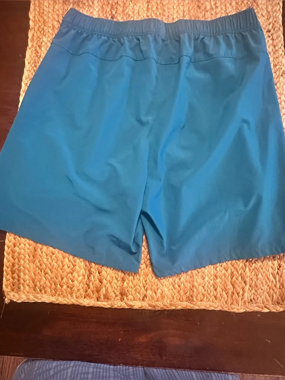 The North Face Men's Teal Blue Athletic Shorts